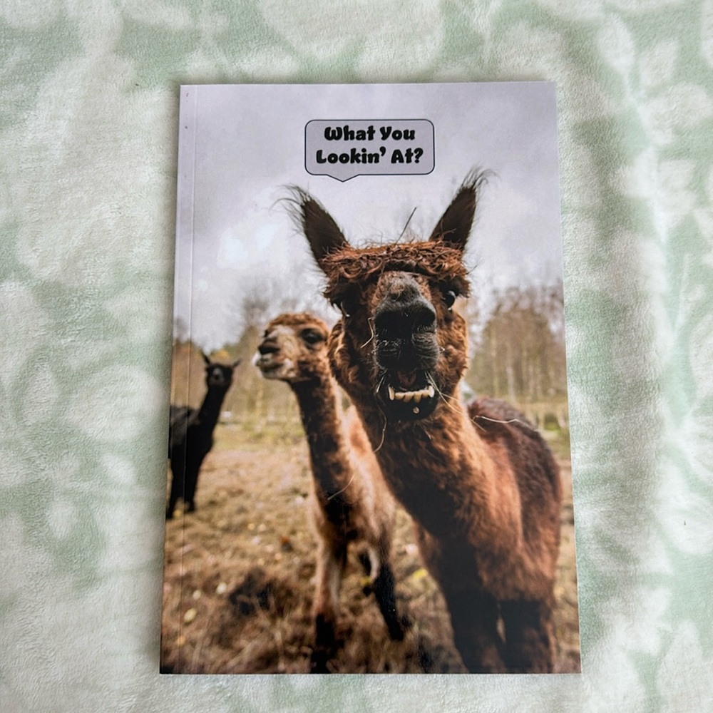Llama notebook